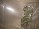 IMG_20230826_121739.jpg