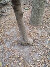 IMG_20231007_134731_297.jpg
