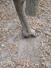 IMG_20231007_134734_546.jpg