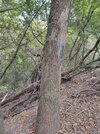 IMG_20231007_134740_339.jpg