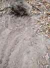 IMG_20231007_134744_576.jpg