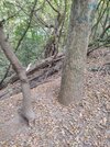 IMG_20231007_134737_271.jpg