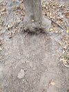 IMG_20231007_134756_808.jpg
