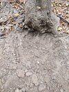 IMG_20231007_134800_232.jpg