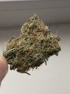 IMG_6682.jpeg