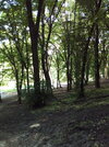 20240520_130358.jpg