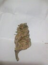 IMG_20240601_054318.jpg