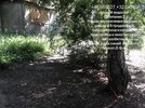 2ECC1DAE-A2E1-4112-98BC-7E047AEEC5F2.jpeg