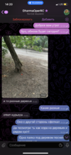 DEDED601-8E8C-4885-AADD-200604F08D18.png