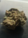 IMG_8231.jpeg