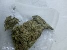 IMG_20240622_073228.jpg