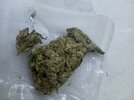 IMG_20240622_073232.jpg