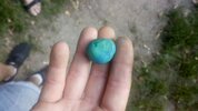 IMG_20240627_201108_113.jpg