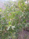 IMG_20240628_185605.jpg