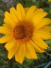 IMG_20240628_201710.jpg