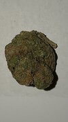 IMG_0046.jpeg