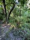 IMG_9830.jpeg