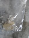 IMG_20240714_180249.jpg