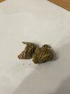 IMG_8366.jpeg