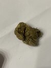 IMG_8365.jpeg
