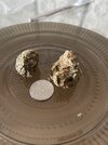 IMG_6710.jpeg
