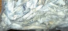 IMG_20240724_013309_411.JPG