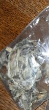 IMG_20240724_013051_583.jpg