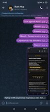 Screenshot_2024-08-13-19-30-44-269_org.telegram.messenger.jpg