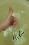IMG_20240919_173234.jpg