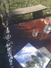 IMG_20240929_141751_1.jpg