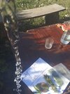IMG_20240929_141750_1.jpg