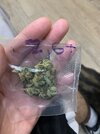 IMG_0292.jpeg