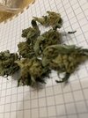 IMG_0295.jpeg