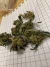 IMG_0296.jpeg