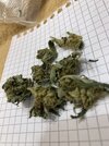 IMG_0297.jpeg