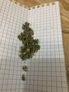 IMG_0299.jpeg