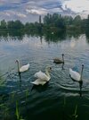 IMG_1106.jpeg