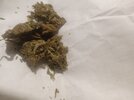 IMG_20241013_012016.jpg