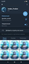 Screenshot_2024-10-15-12-25-49-063_org.telegram.messenger.jpg