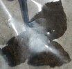 IMG_20241018_224648_338.jpg