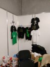 IMG_20241020_134533_312.jpg