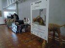 IMG_20241020_134636_897.jpg