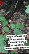 IMG_20241025_194403.jpg