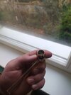 IMG_20241119_111649.jpg