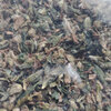 IMG-20241127-083553.jpg