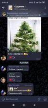 Screenshot_2024-12-09-08-08-02-196_org.telegram.messenger.jpg