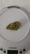 IMG_20241129_103930_860.jpg