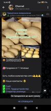 Screenshot_2024-12-15-16-40-01-277_org.telegram.messenger.jpg