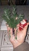20241230_170033.jpg