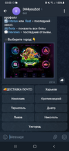 Screenshot_20241230-020330_Telegram.png